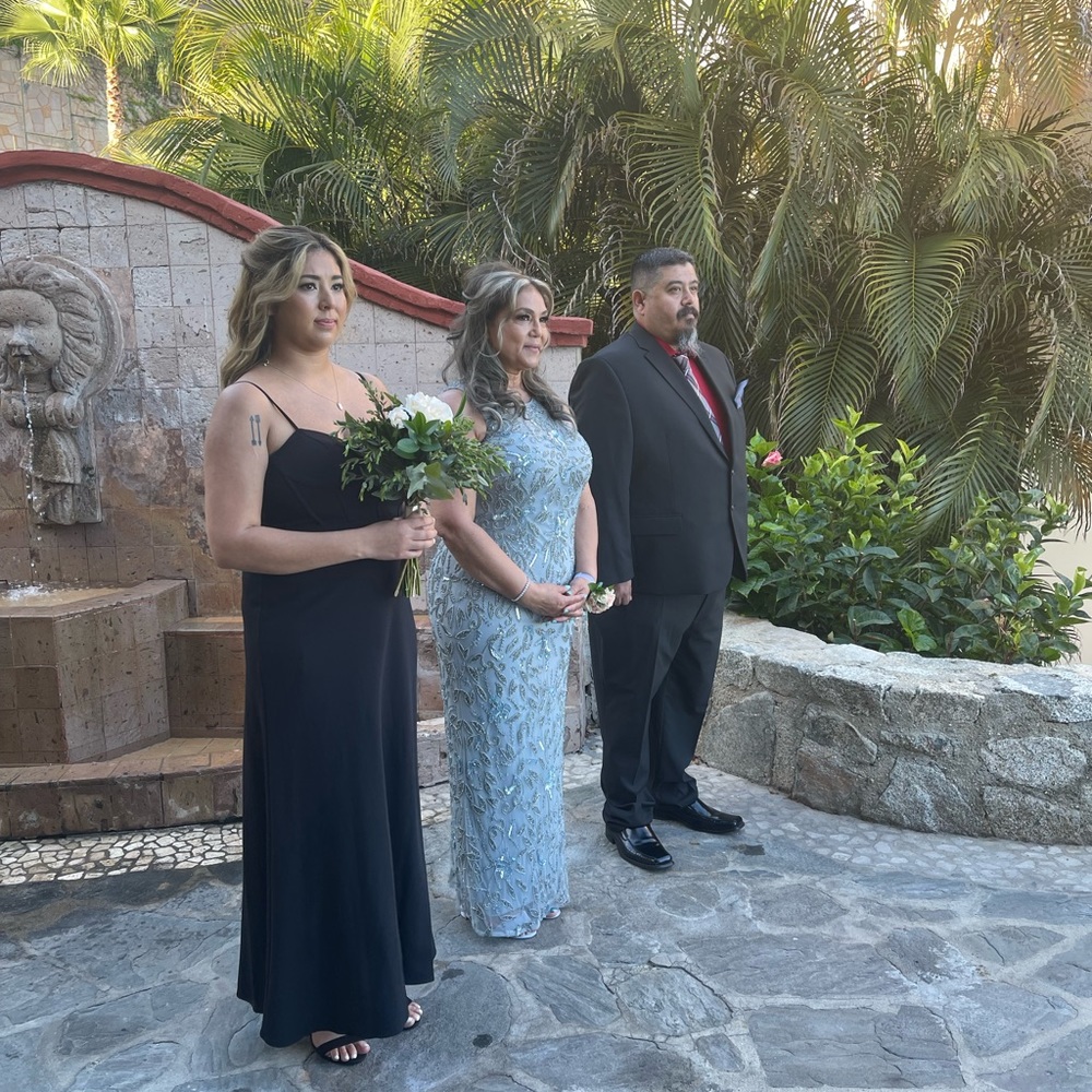 Mother of the bride dress or evening dress